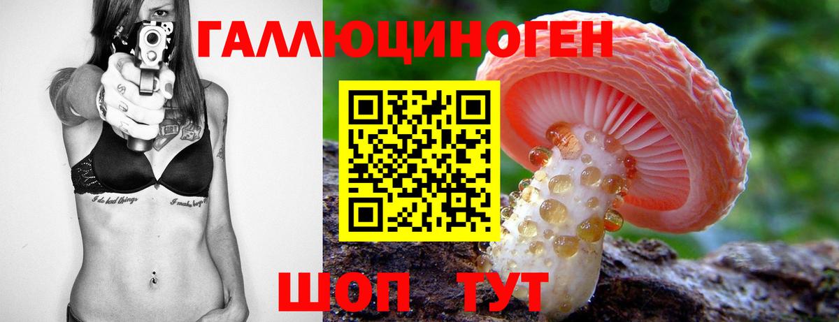 Галлюциногенные грибы Magic Shrooms  Вход с VPN  Гудермес 