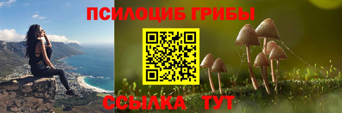 Псилоцибиновые грибы ЛСД Гудермес